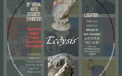 DP Visual Art Student Exhibition