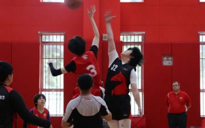 Triple Threat: Bobcats Dominate the Court!