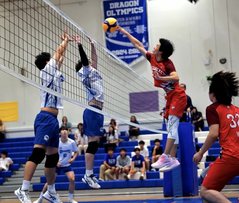 MS/HS Athletics | Photo Updates