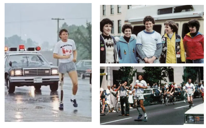 TerryFox