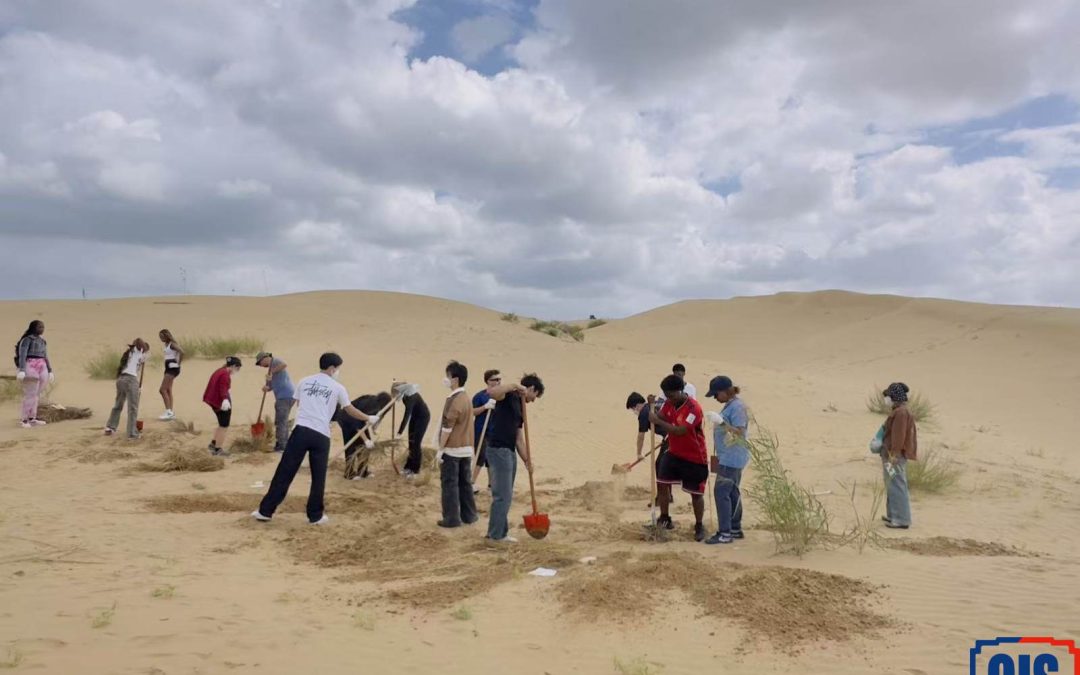 2025 CISB Week Without Walls Highlights