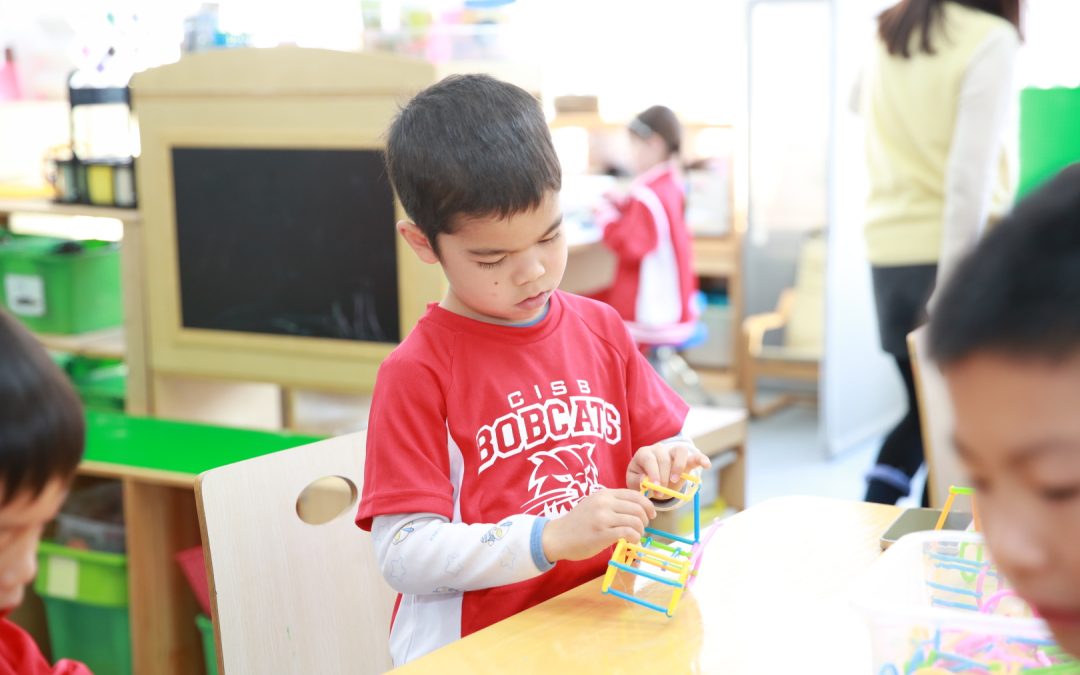 Preparing for the MYP Learning Stages