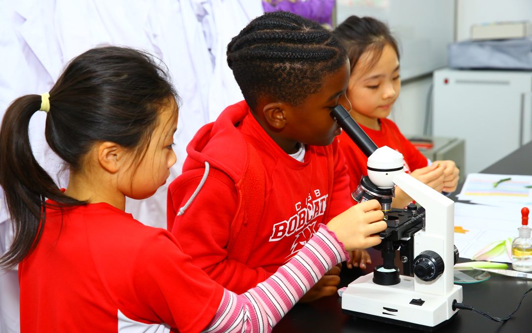 Concept-Based Inquiry Learning